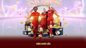 Kèo Nhà Cái Tối Nay: Phân Tích, Dự Đoán Và Tỷ Lệ Chuẩn